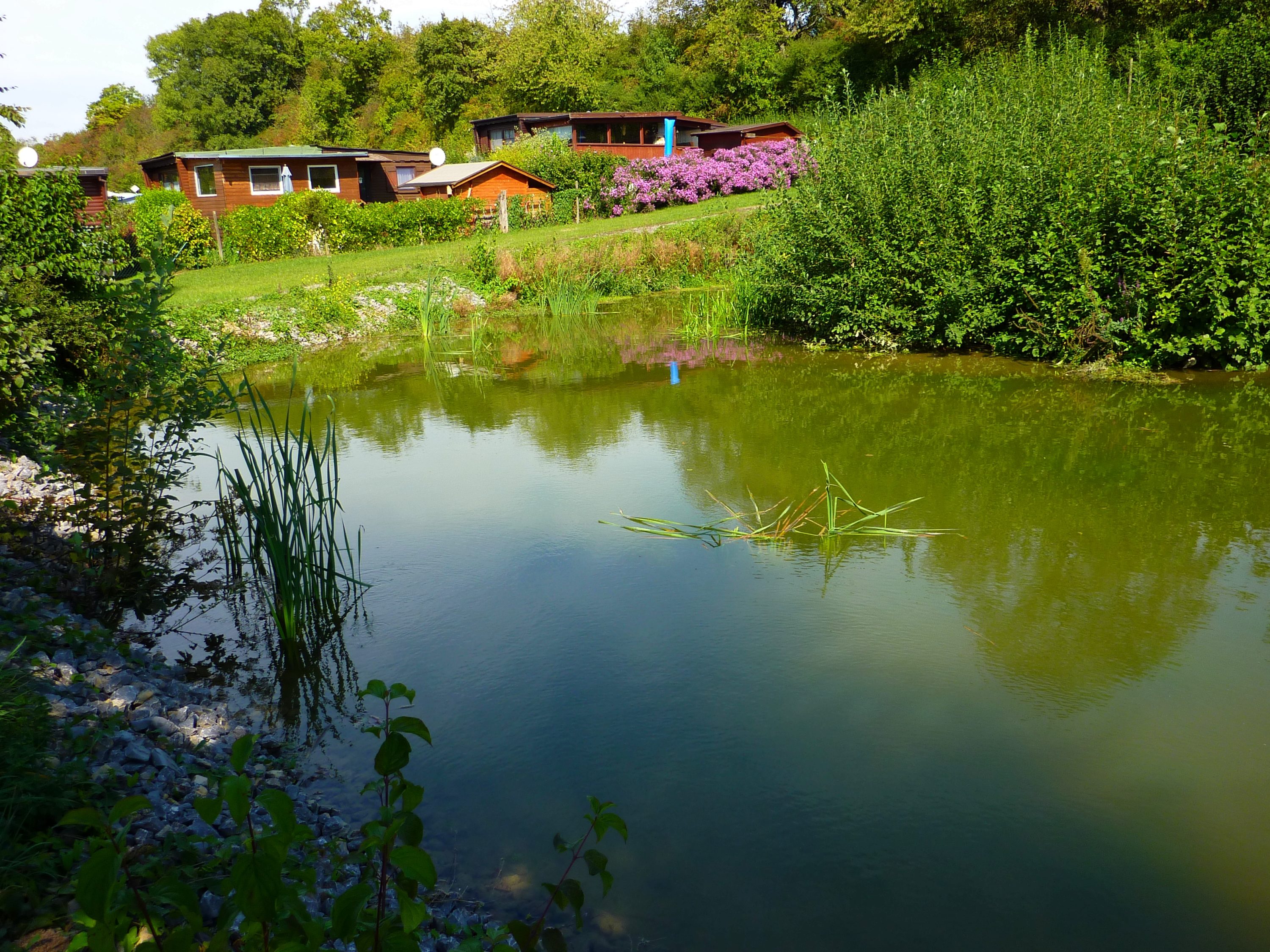 Teich auf dem Gelände